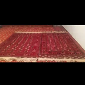 turkmen haly