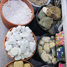 камушки