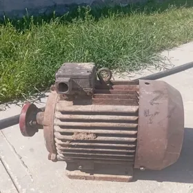 elektro dwigatel