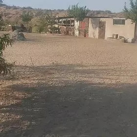 EKIN YER DAÇA