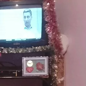 telewizor