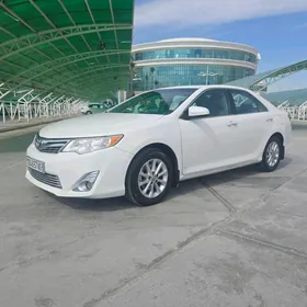 Toyota Camry 2013