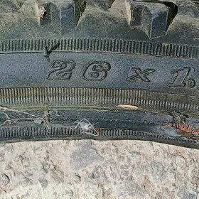 pakrisga