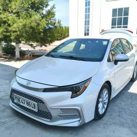 Toyota Corolla 2020