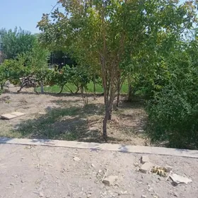 satlyk mellek