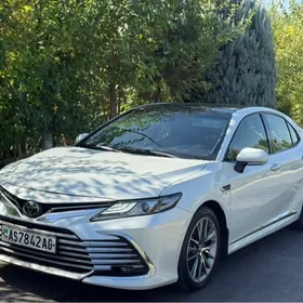 Toyota Camry 2019