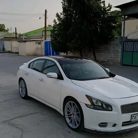 Nissan Maxima 2010