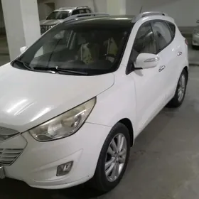 Hyundai Tucson 2010