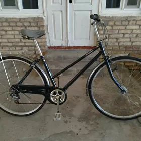 27 Lik Ýapon Welik