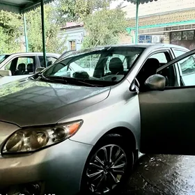 Toyota Corolla 2010