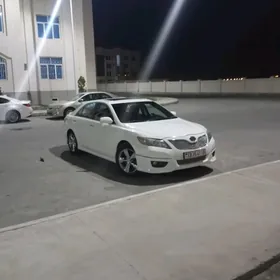 ищу работу