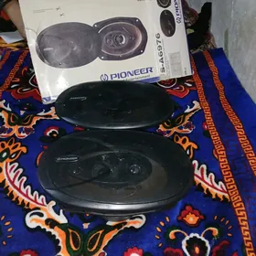 pioneer kalonka