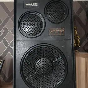 колонки 25 AC 309