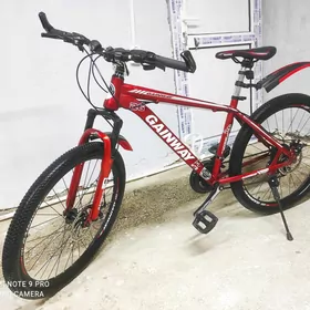 tigir 26 lyk