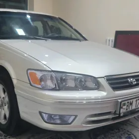 Toyota Camry 1999