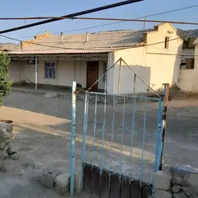 SATLYK JAÝ Bereket