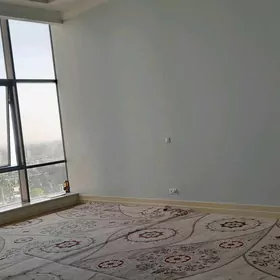 Şaýol elitka gyza komnat