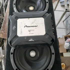 pioner bocka