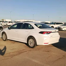 Toyota Corolla 2025