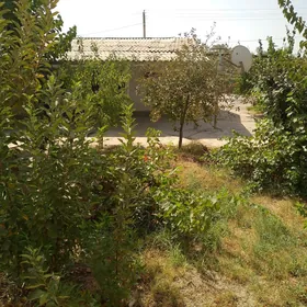 korpus jaý