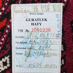Guratlyk haty tapyldy