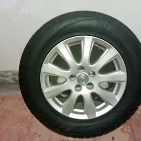 siena arginal tekeri 1şt
