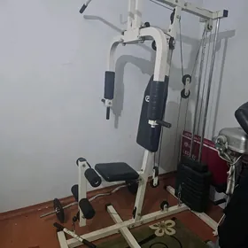Trinajor