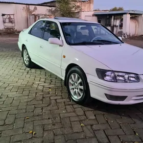 Lexsus disga 300