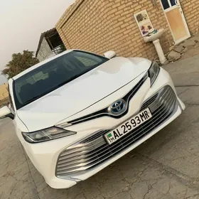 Toyota Camry Hybrid 2019