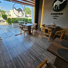 tayyn biznes kafe doner