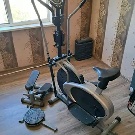 sport welik