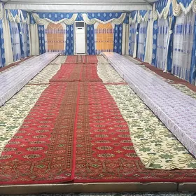 Palata
