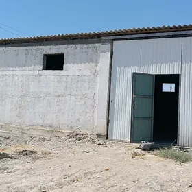 arenda yer buzmeyin