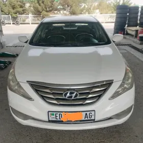 Hyundai Sonata 2010