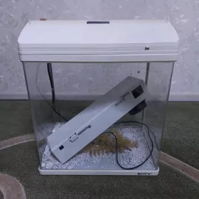 Akwarium