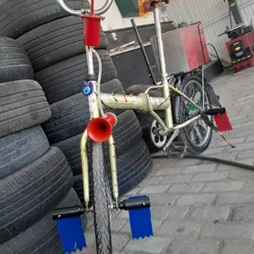 kama tigir