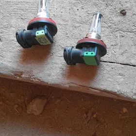 Lampa kemri okuskelee bilizni