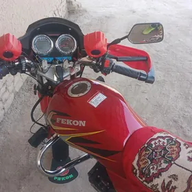 Fekon FK200-14G 2015