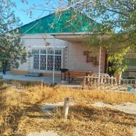 SATLYK DAÇA