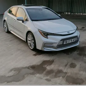 Toyota Corolla 2020