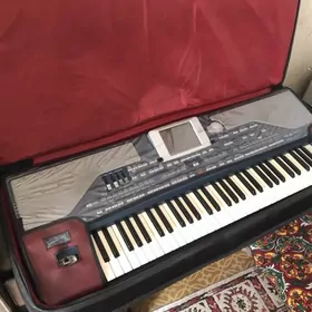 pa 800