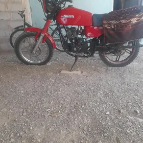 Fekon FK200-14G 2018