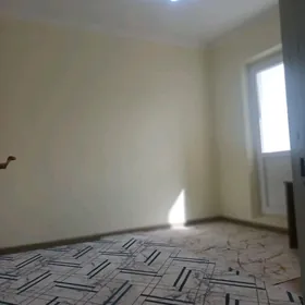 Taze Gurtly 4 kom ️