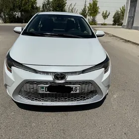 Toyota Corolla 2020