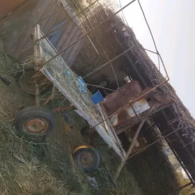 yatymlyk mal bakyanlara
