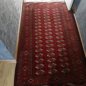 geyilen eşik pasuda alyan
