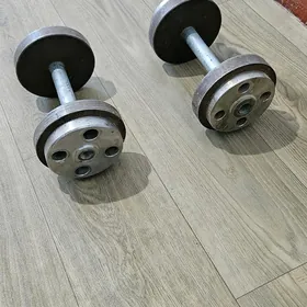 gantel 10 kg