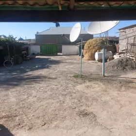 Eyesinen 9 kamsar 5kom