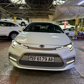 Toyota Corolla 2021