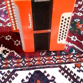 Saz guraly.